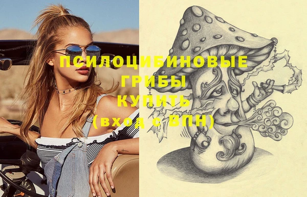 прущие крисы Бронницы